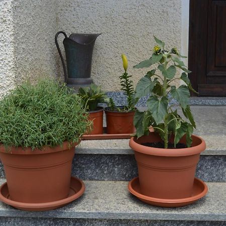 Ollano Da Fulvia B&B 외부 사진